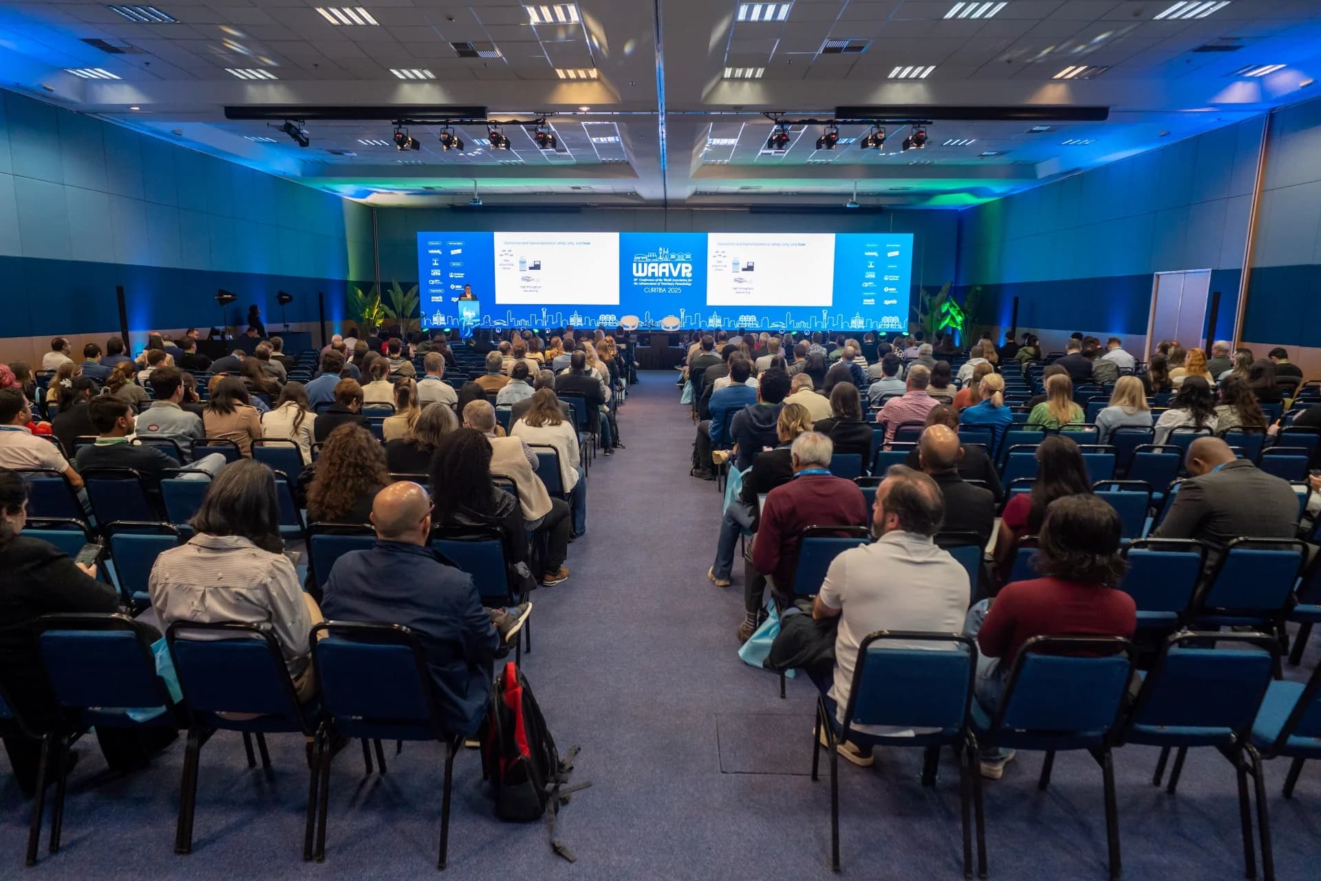 Auditório durante a programação científica — WAAVP