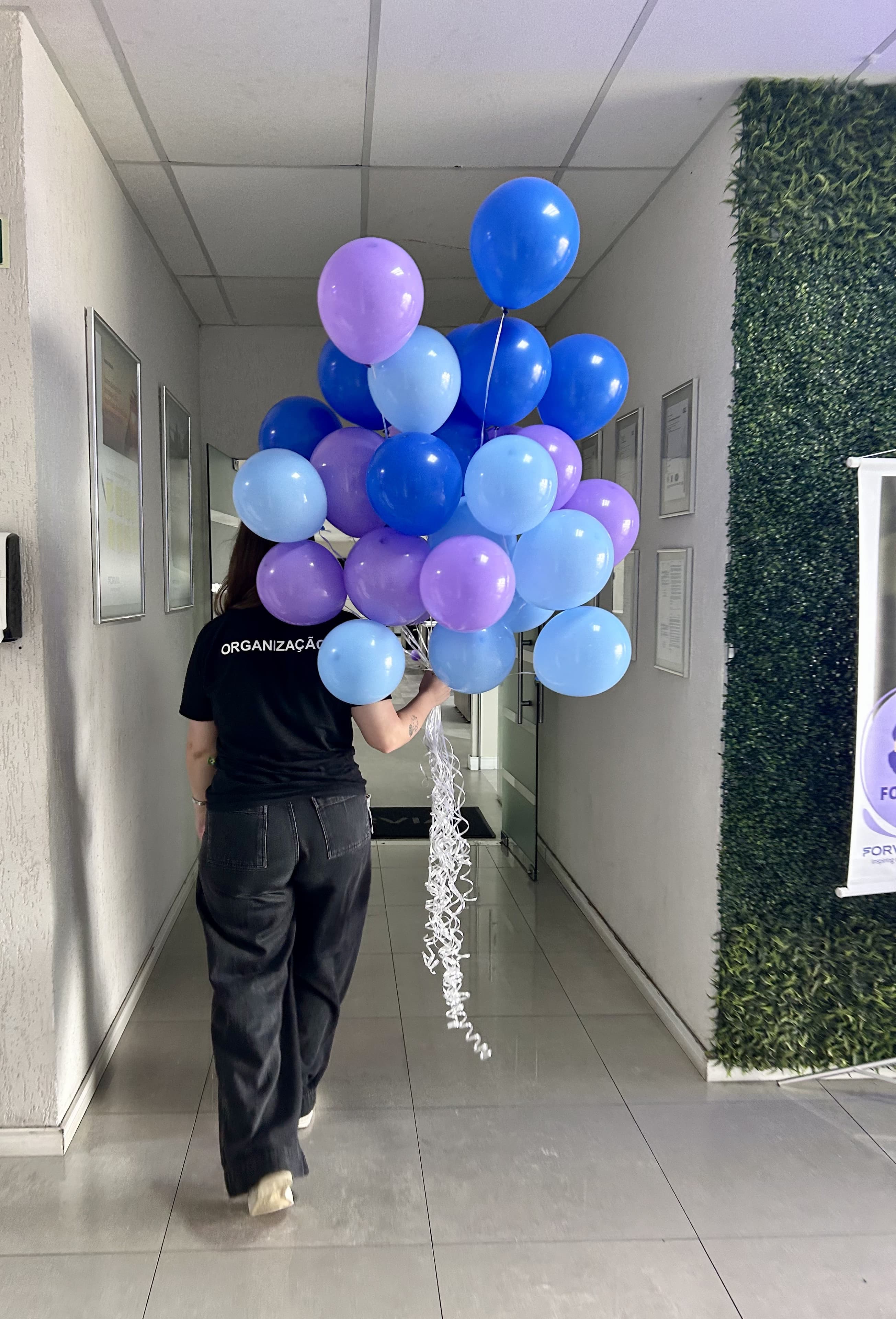 Integrante da organização preparando balões azuis e lilases